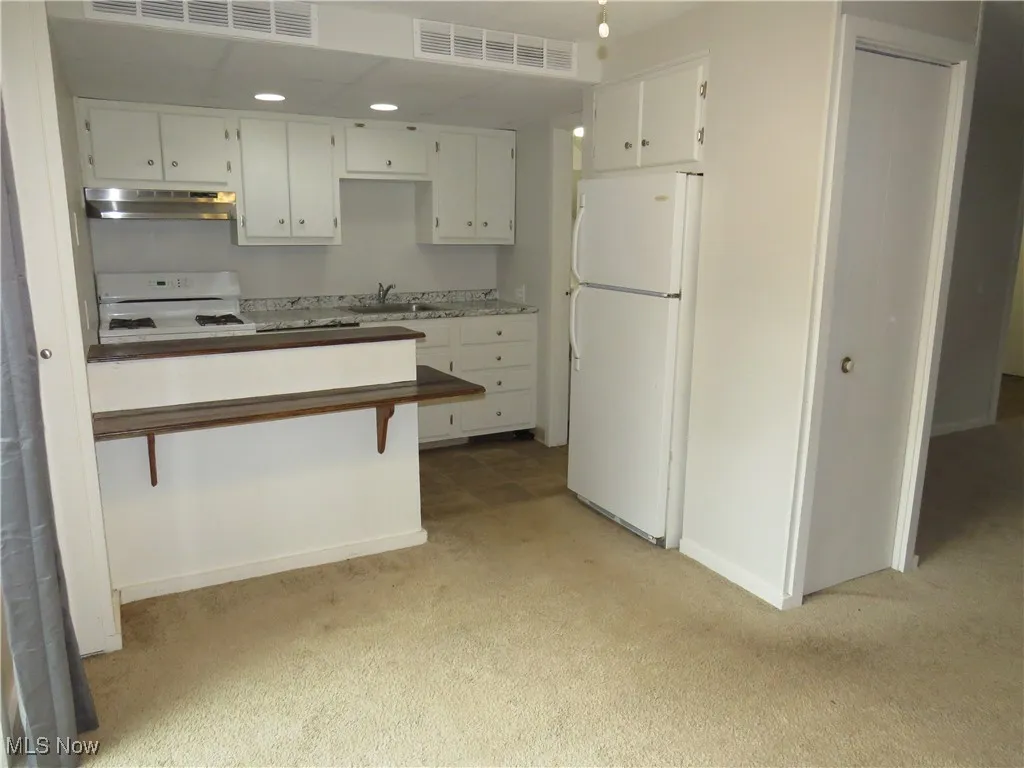 1651 Mentor Avenue # 912, Painesville, Ohio 44077,MLS Now Listing ID