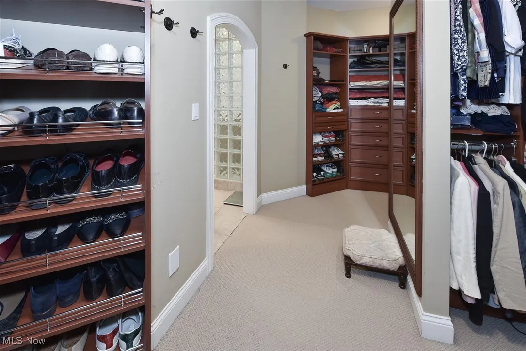 Walk in closet featuring light carpet