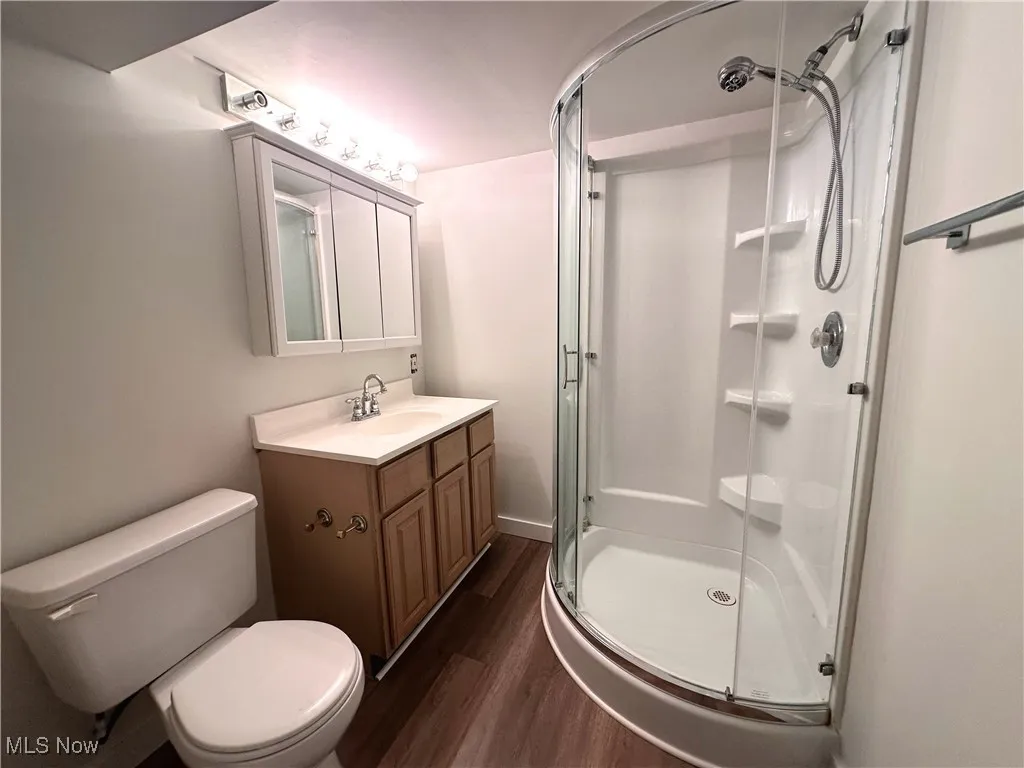 Bathroom with dark wood-style floors, vanity, and a stall shower