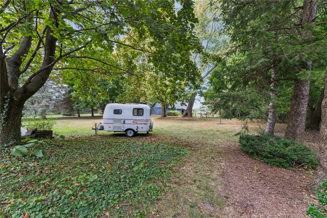 View of grassy yard