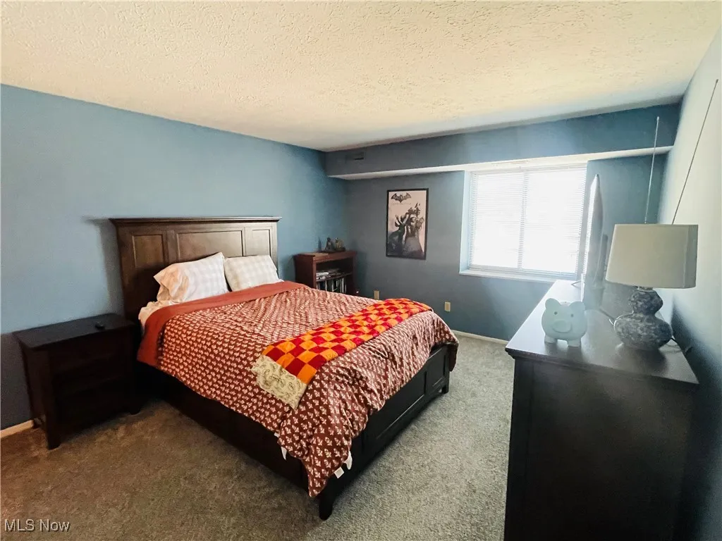 9841 Sunrise Boulevard # P19, North Royalton, Ohio 44133,MLS Now Listing ID