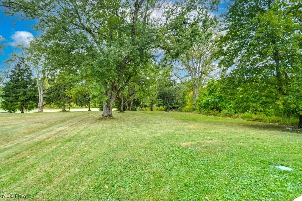 View of grassy yard with view of scattered trees