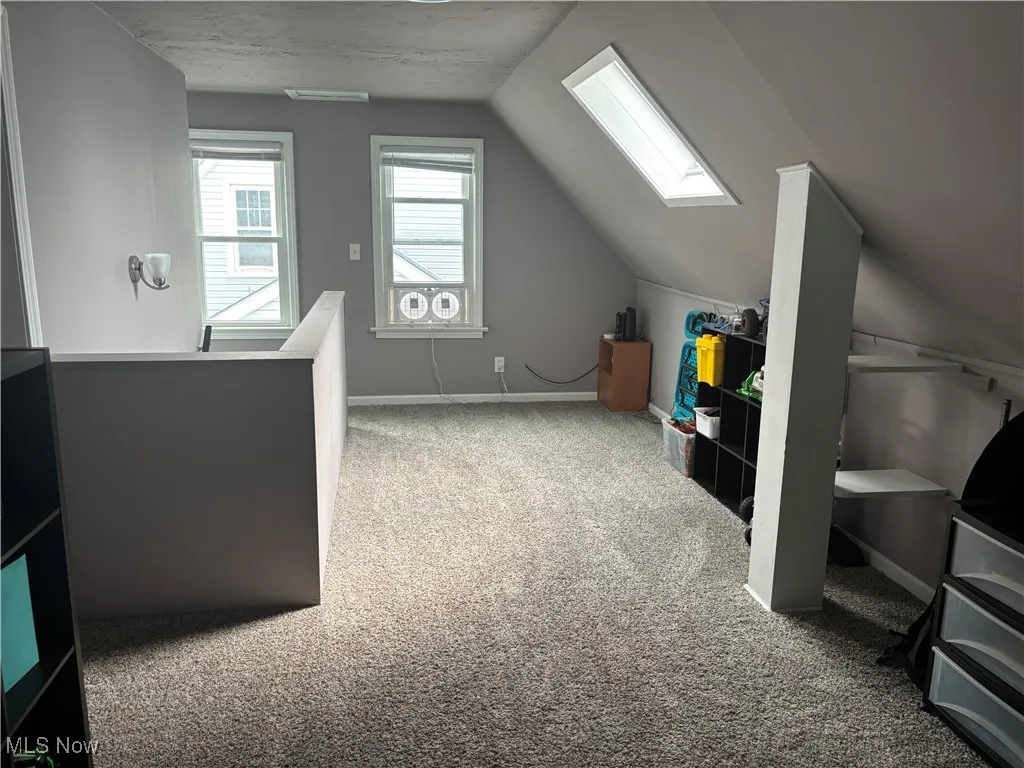 Additional living space featuring a skylight, light colored carpet, and vaulted ceiling