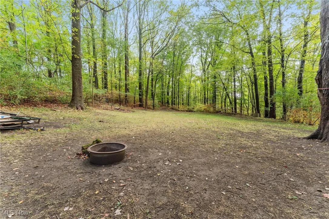 View of the large yard and wooded lot