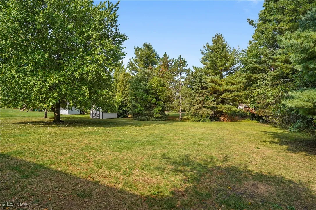 View of green lawn with a shed