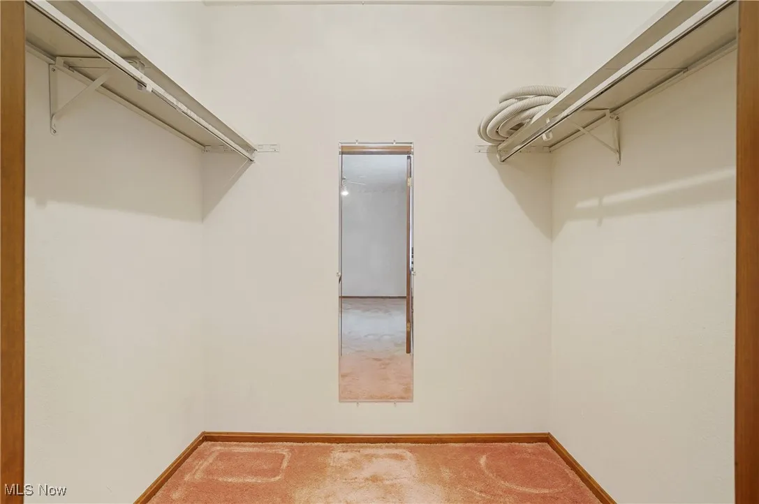 Spacious closet featuring carpet