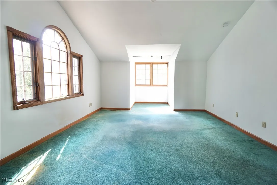 Bonus room featuring lofted ceiling and carpet