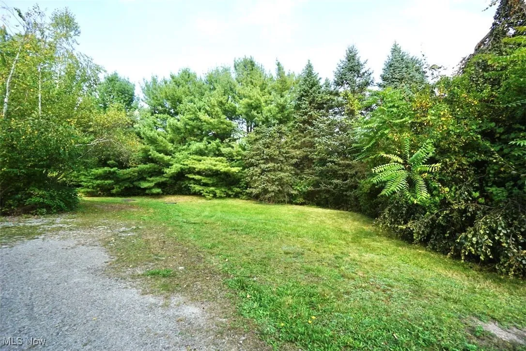 Partial view of front lawn