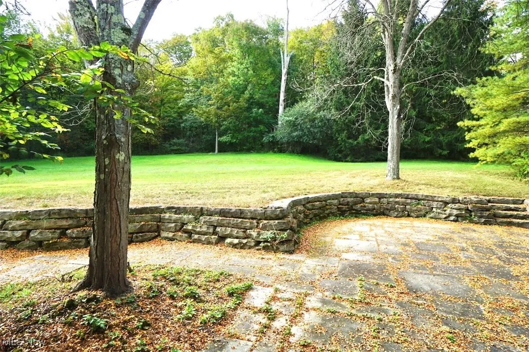 Stone patio & view of rear yard.