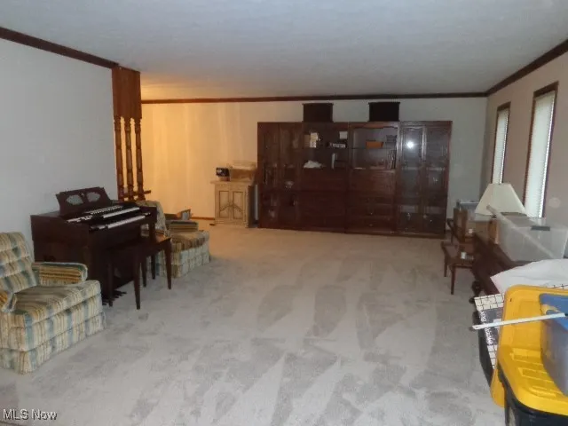 New Carpet Throughout