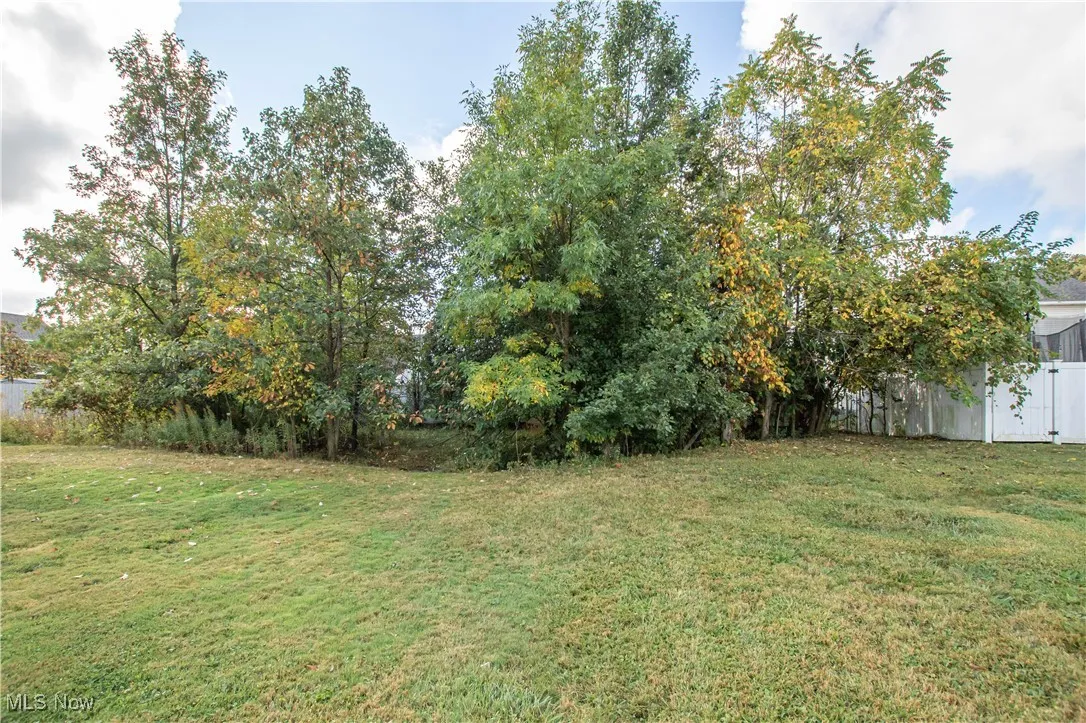 Vacant Land - All 3 Parcels