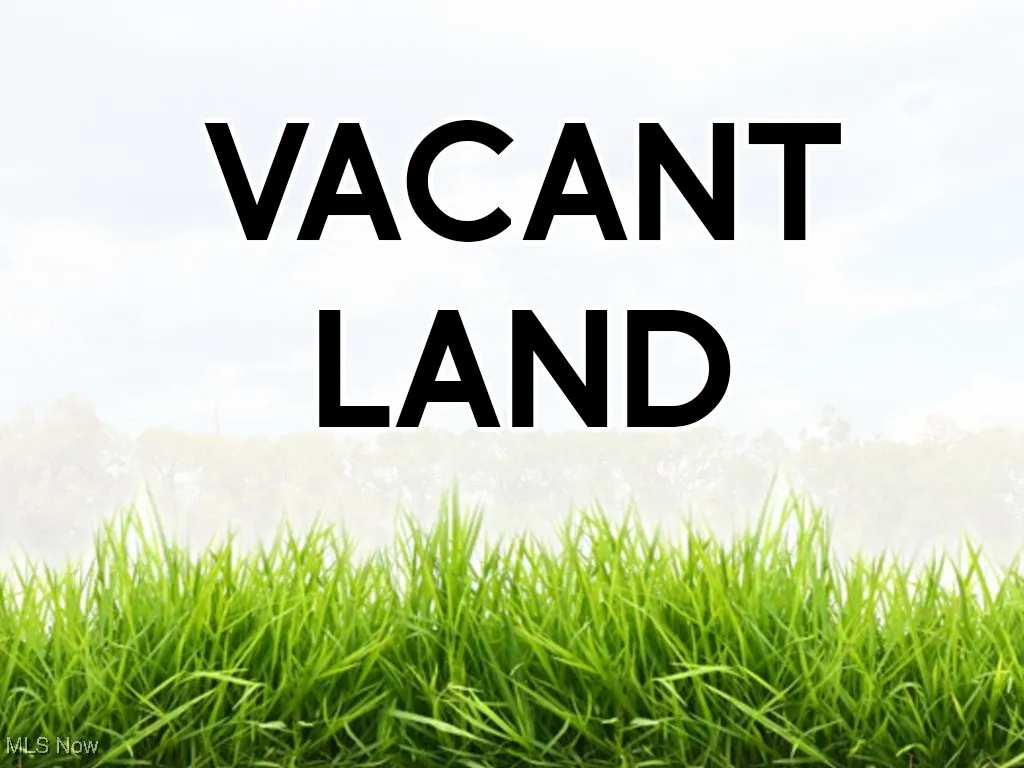 Vacant Land - All 3 Parcels