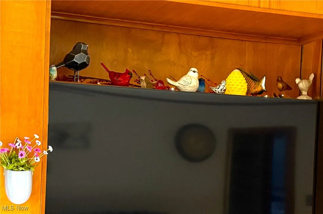 Display your craft items over TV