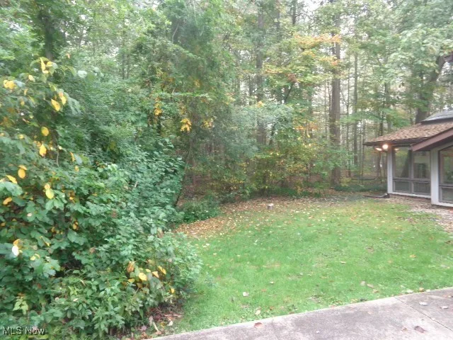 Side Yard