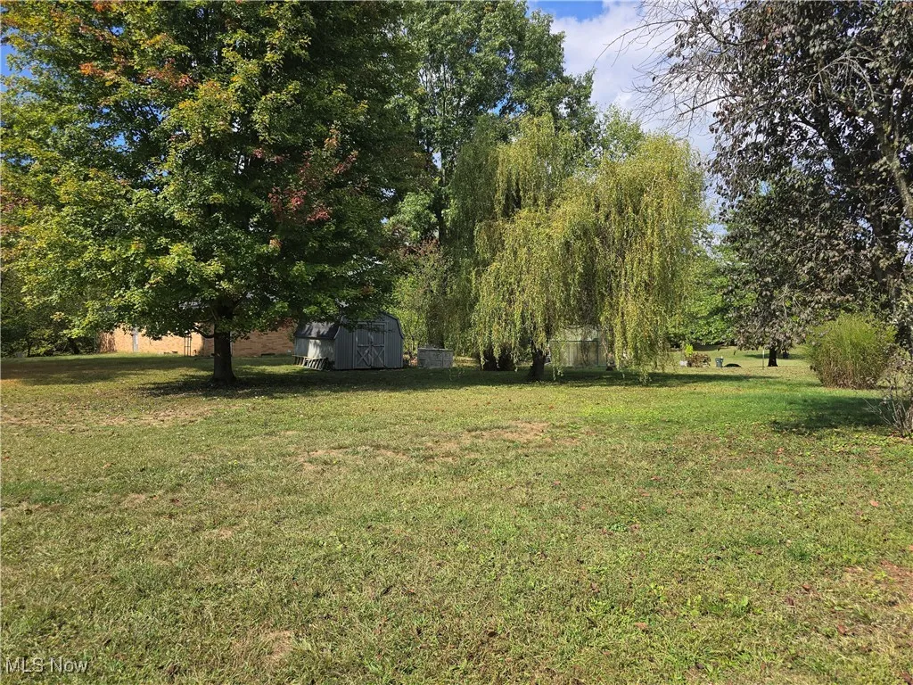 Yard area with storage shed
