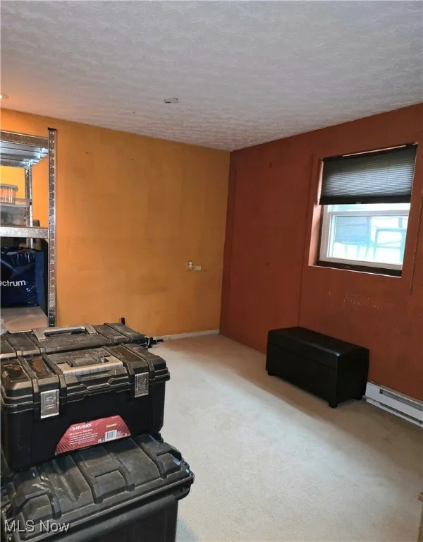 Bonus room space in lower level