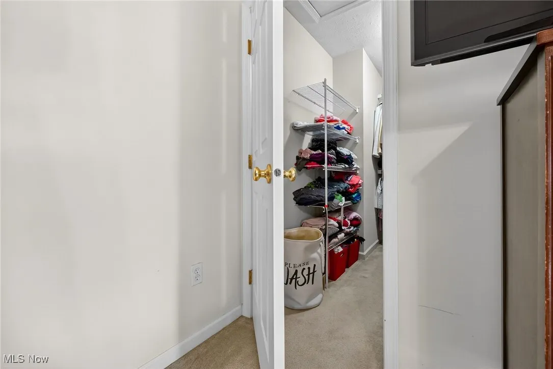 walk in closet featuring light carpet and baseboards