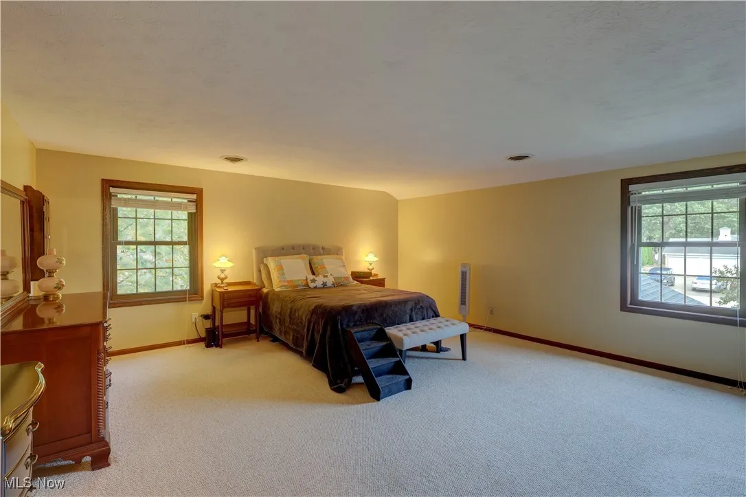 Bedroom featuring multiple windows and light colored carpet