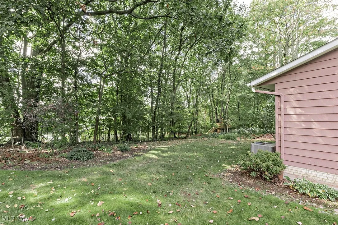 Side Yard