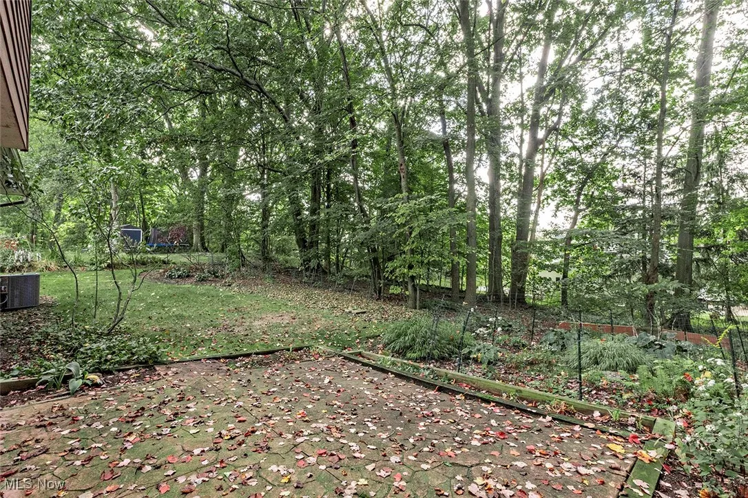 View from Rear of Home