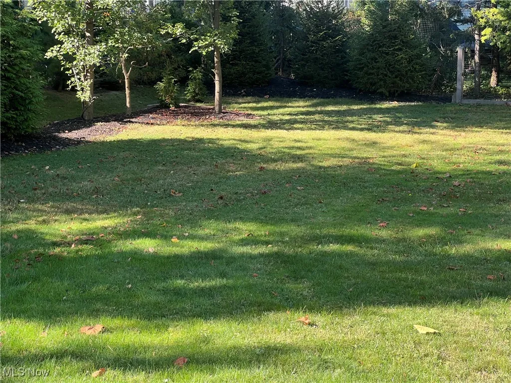 View of grassy yard