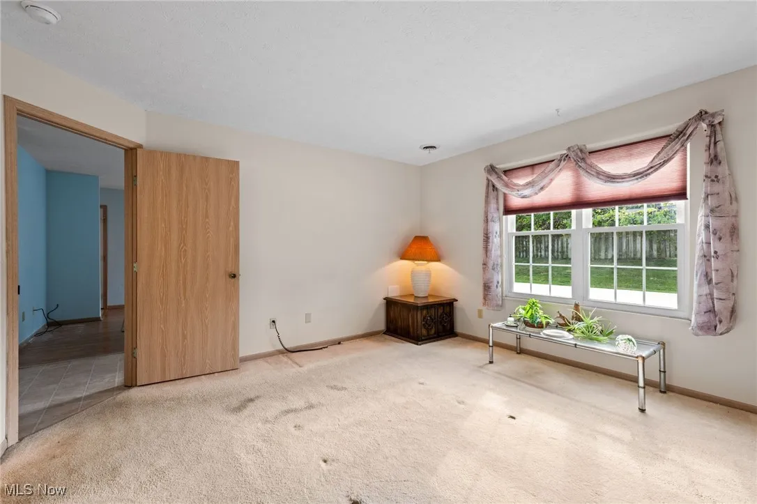 Primary room with carpet floors and baseboards