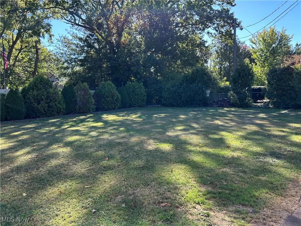 Rear yard.