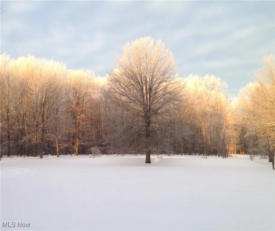 288 S Munroe Road, Tallmadge, Ohio 44278,MLS Now Listing ID