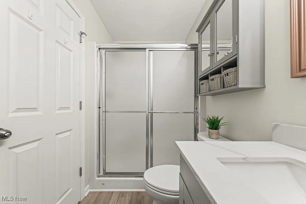 Full bath featuring vanity, a stall shower, and dark wood-style flooring
