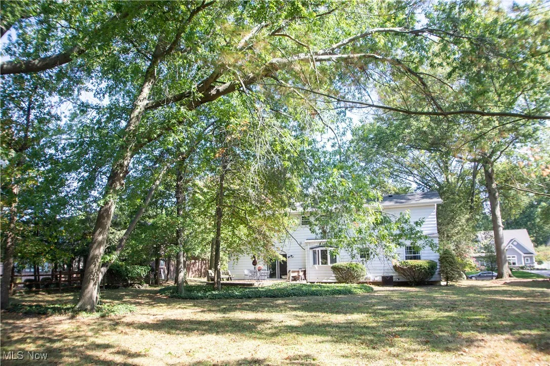 View of green lawn