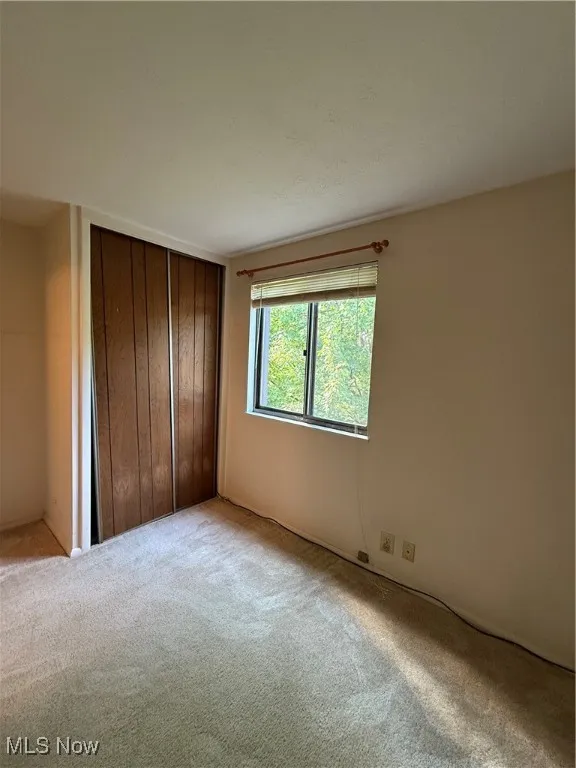 Unfurnished bedroom featuring carpet floors and a closet