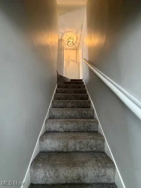Stairway with carpet