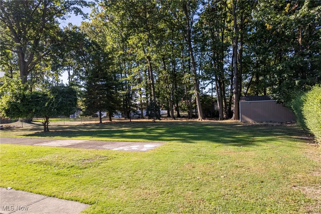 View of grassy yard featuring view of scattered trees