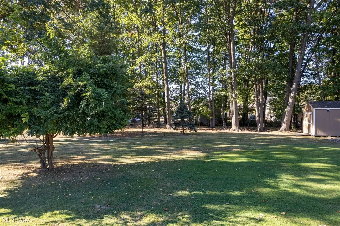 View of grassy yard featuring a shed and view of wooded area