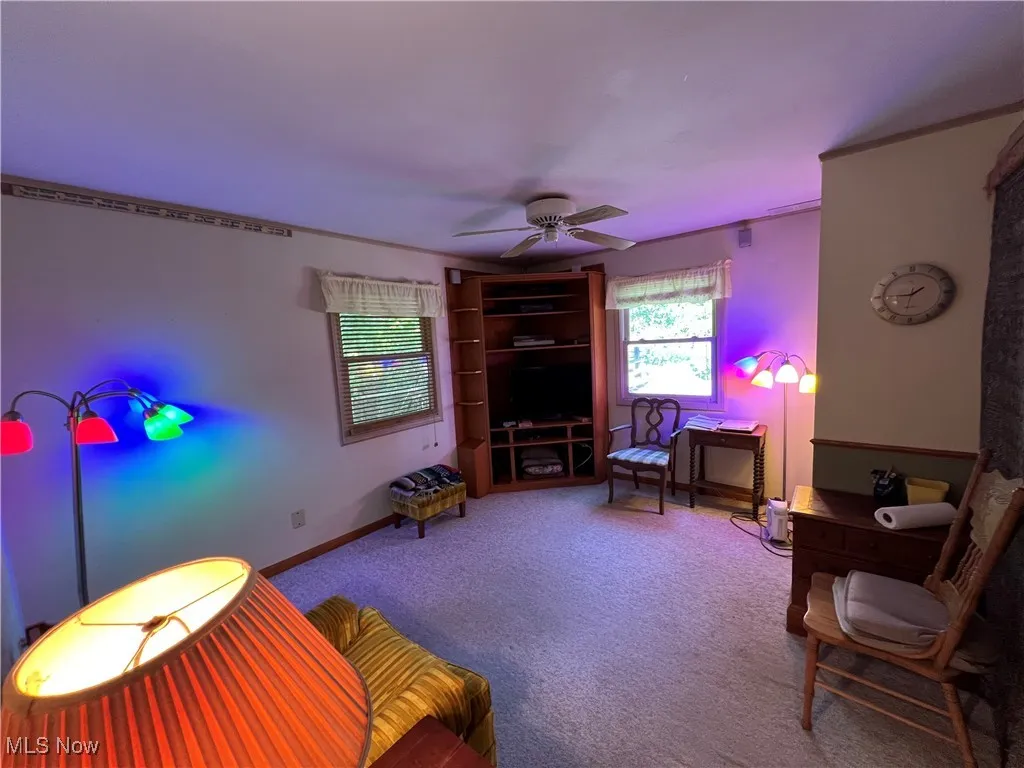 Living area with healthy amount of natural light, carpet floors, and a ceiling fan
