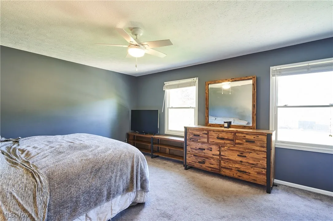 238 Radley Drive, Painesville Twp, Ohio 44077,MLS Now Listing ID