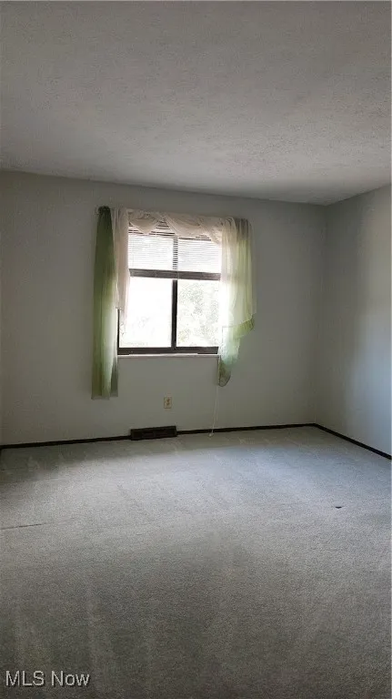 Unfurnished room with carpet flooring and a textured ceiling