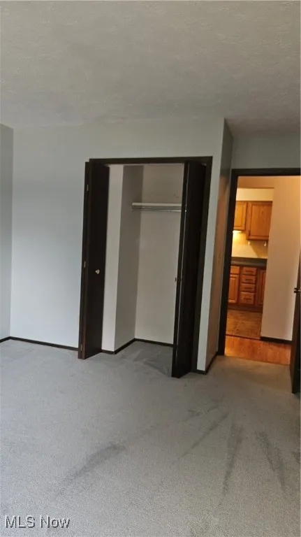 Unfurnished bedroom with light colored carpet, a textured ceiling, and a closet