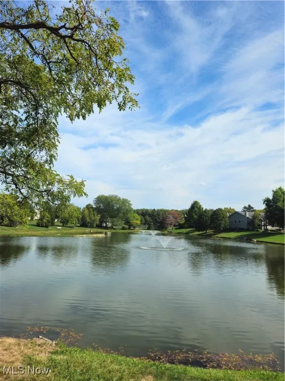 Water view