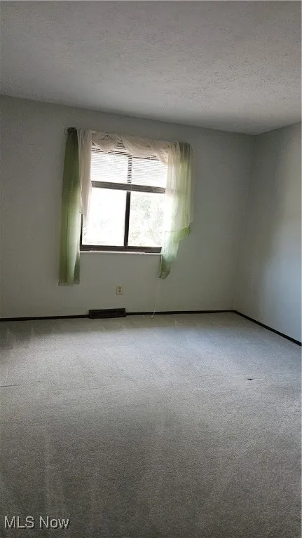 Spare room featuring carpet floors and a textured ceiling