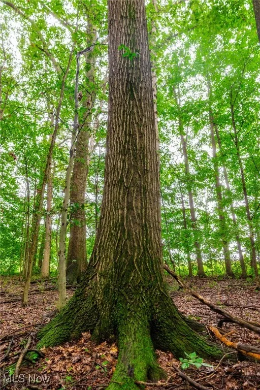 327 Township Road 350, Sullivan, Ohio 44880,MLS Now Listing ID