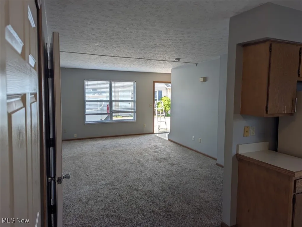 Unfurnished living room featuring light colored carpet and a textured ceiling