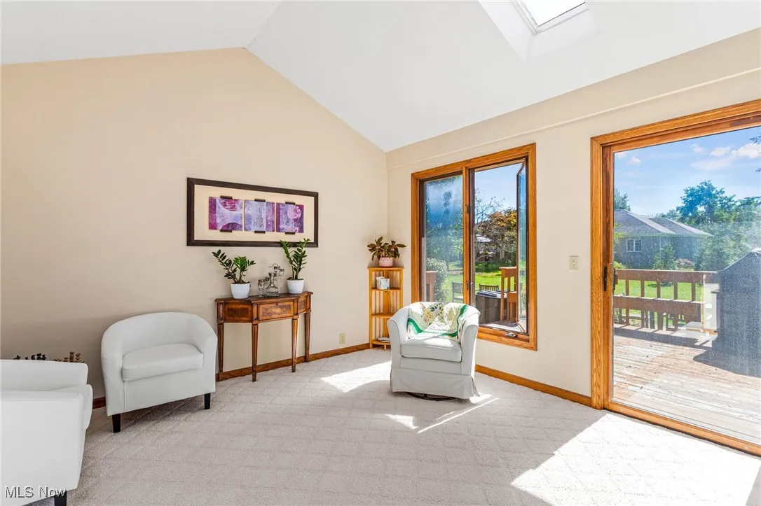 Living area featuring lofted ceiling, a skylight, and carpet floors