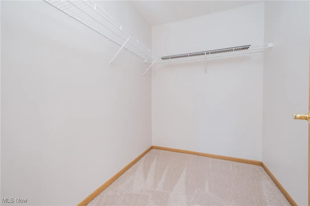 Walk-in closet with carpet floors