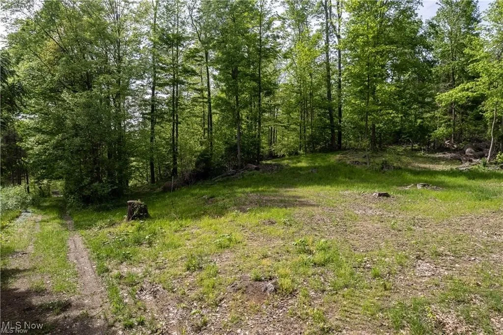 2 V/L S Medina Line Road, Wadsworth, Ohio 44281,MLS Now Listing ID