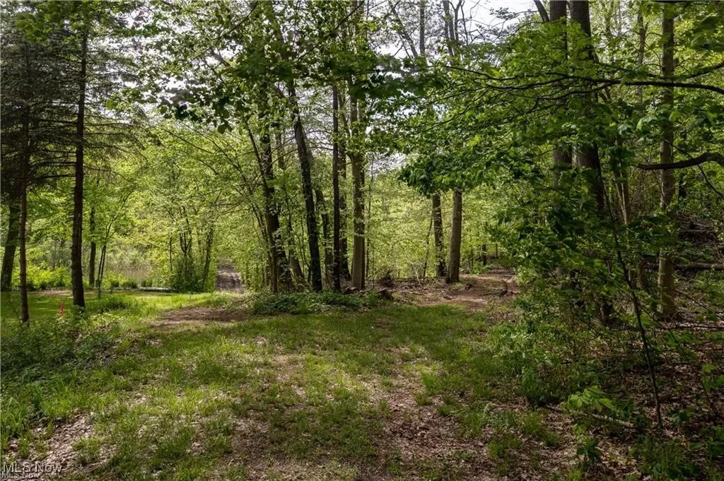 2 V/L S Medina Line Road, Wadsworth, Ohio 44281,MLS Now Listing ID