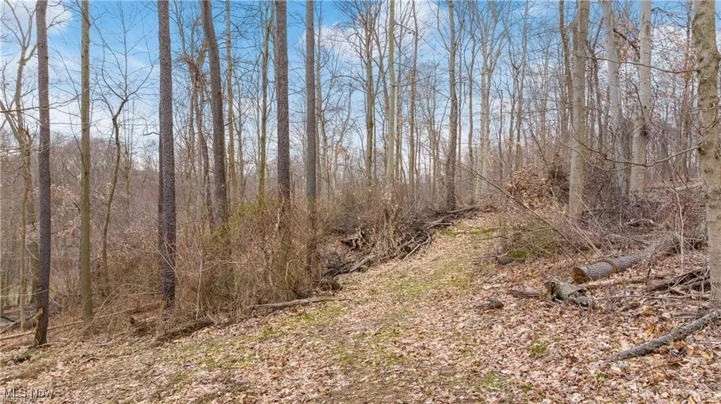 2 V/L S Medina Line Road, Wadsworth, Ohio 44281,MLS Now Listing ID