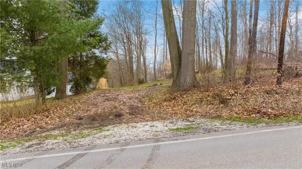 2 V/L S Medina Line Road, Wadsworth, Ohio 44281,MLS Now Listing ID