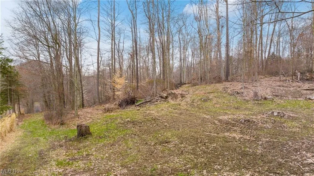 2 V/L S Medina Line Road, Wadsworth, Ohio 44281,MLS Now Listing ID