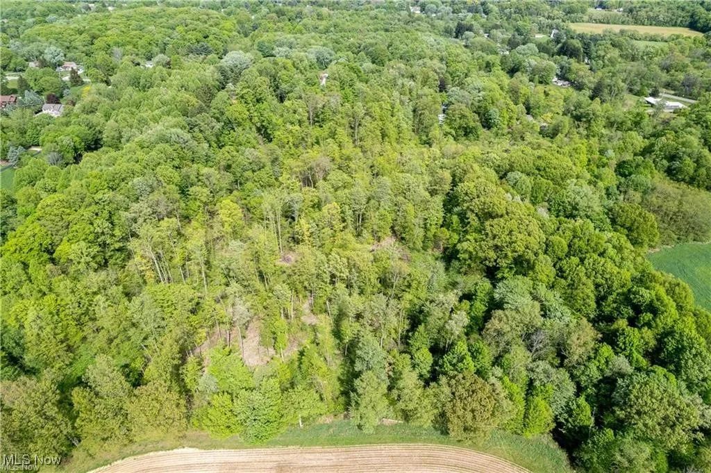 2 V/L S Medina Line Road, Wadsworth, Ohio 44281,MLS Now Listing ID